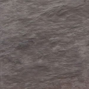 African Grey (Oyster)