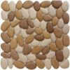 Berg River Pebble
