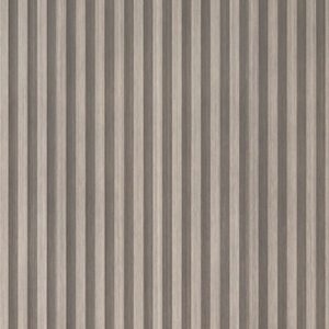Silver Birch WPC Panel