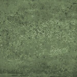Zoric Green Subway