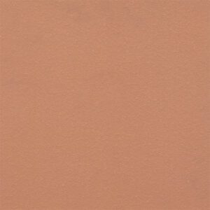 Terracotta Hanoi Cotto (Sealed)
